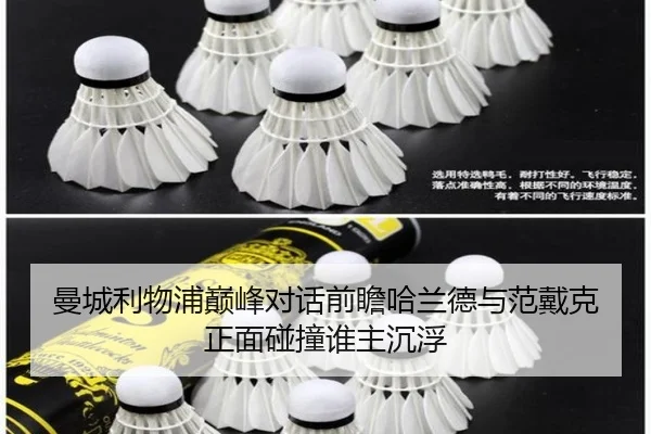 曼城利物浦巅峰对话前瞻哈兰德与范戴克正面碰撞谁主沉浮