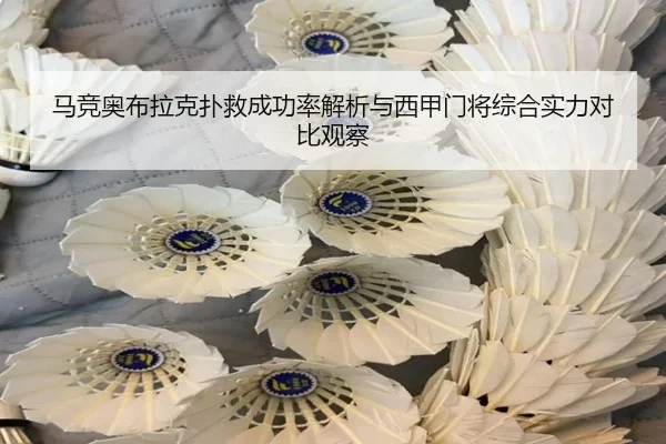 马竞奥布拉克扑救成功率解析与西甲门将综合实力对比观察